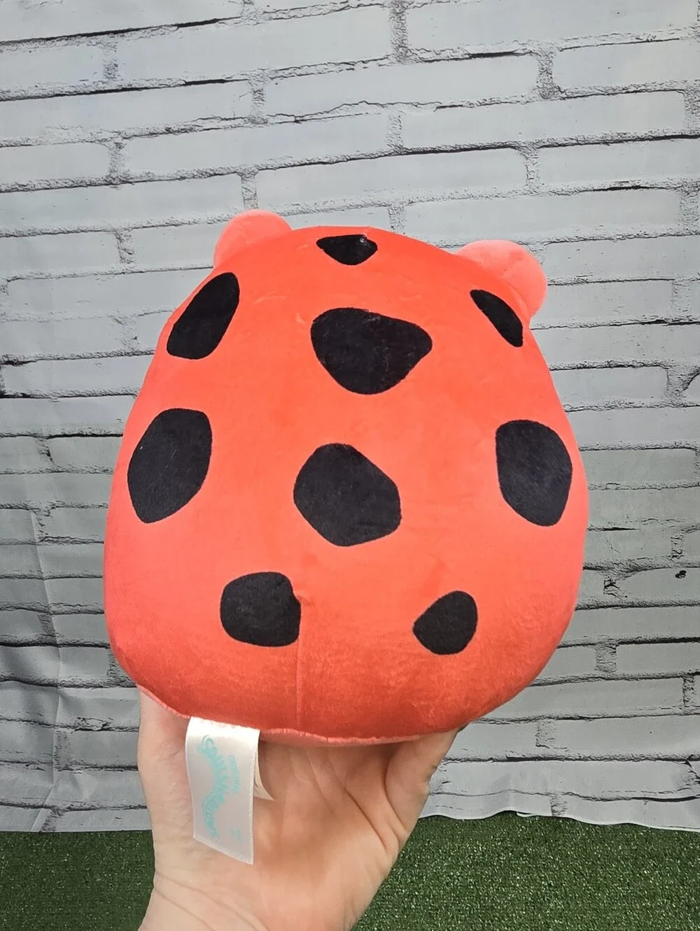 Squishmallow Obu The Red Frog 7.5in Plush